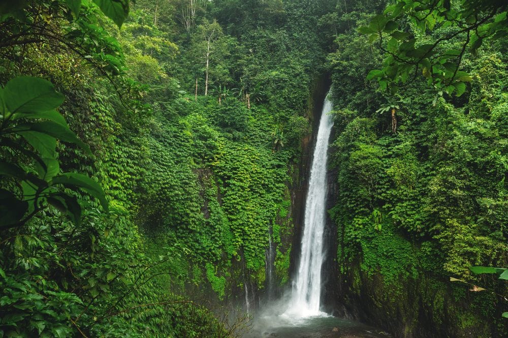 air-terjun-bali