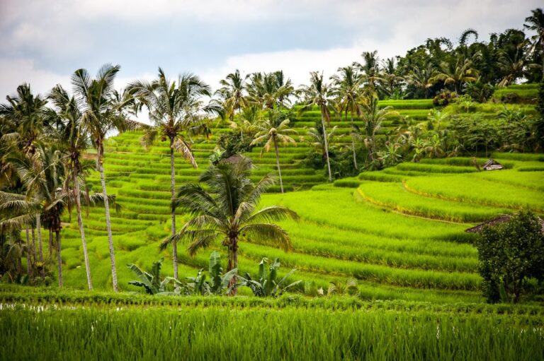 8 Authentic Cultural Tours to Experience Bali’s Rural Charm!